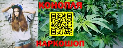 хмурый Будённовск