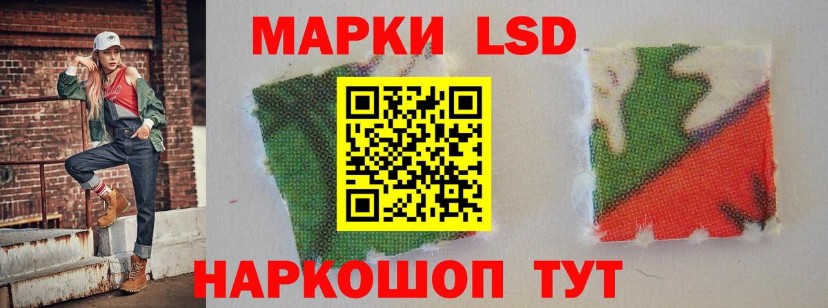 Галлюциногенные грибы Кузнецк