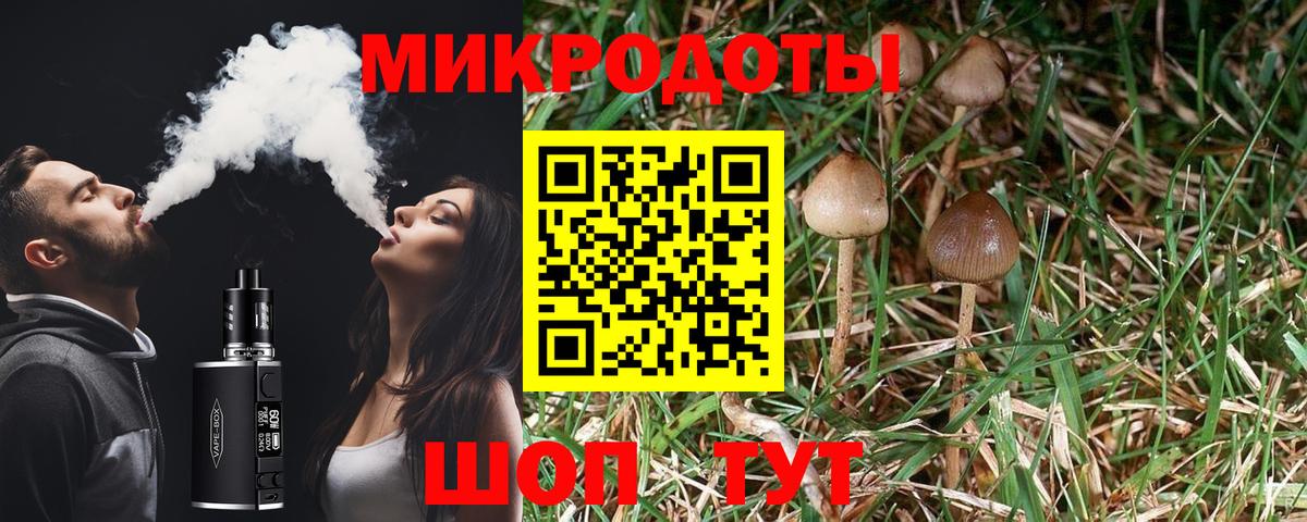 Кузнецк  сколько стоит  Вход с VPN  Галлюциногенные грибы Cubensis 