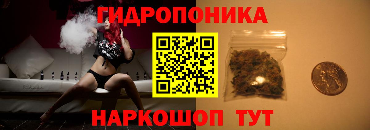 Бошки Шишки ГИДРОПОН  Каннабис AK-47  Кузнецк  Вход с VPN 